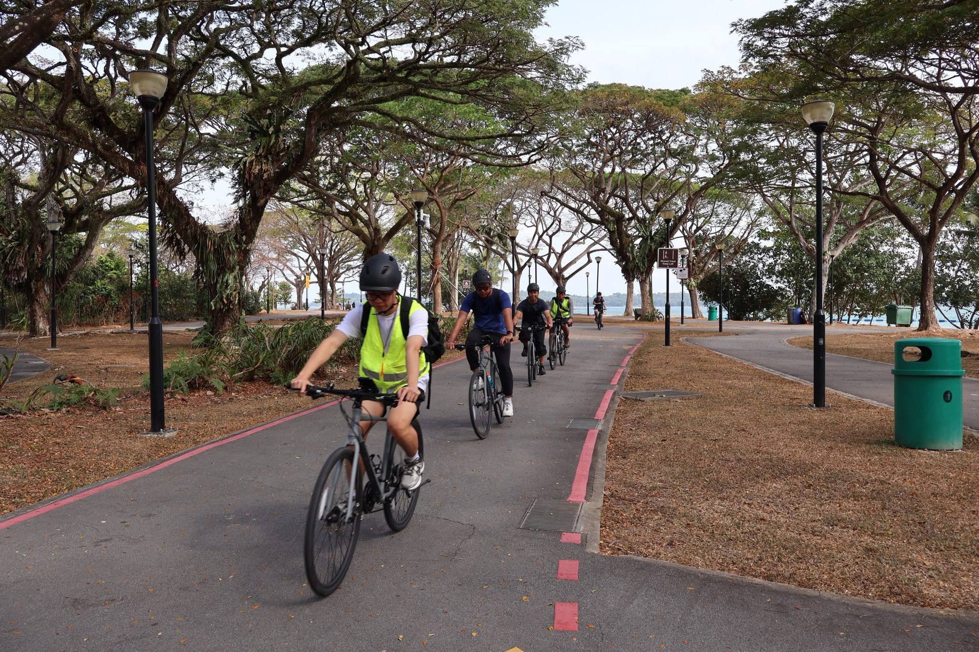 Bicycles ready for a bulk rental delivery to a corporate or school event in Singapore